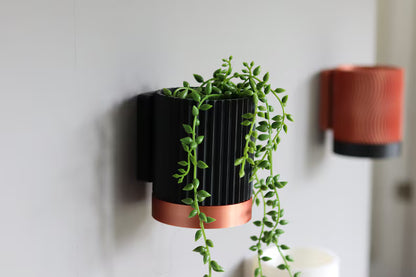 Vasi da parete bicolore nero e rame con piante decorative su muro chiaro
